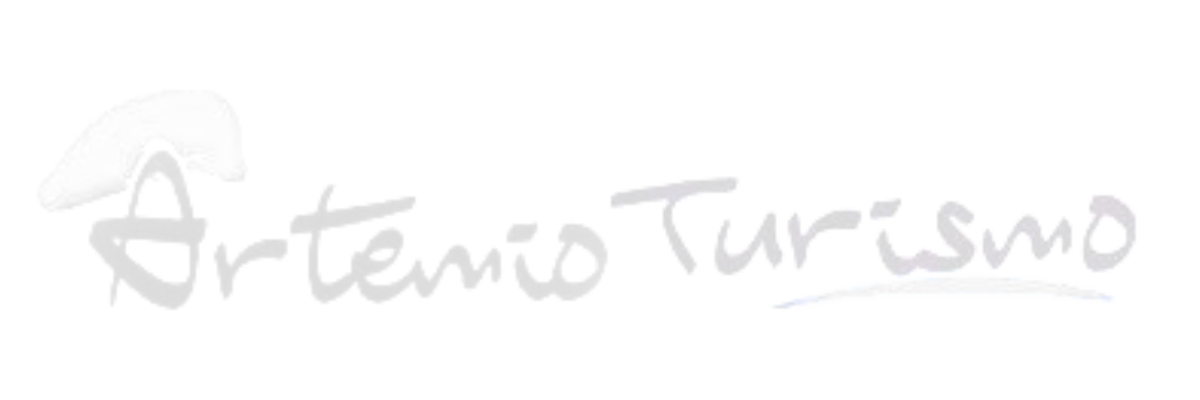 Artemio Turismo