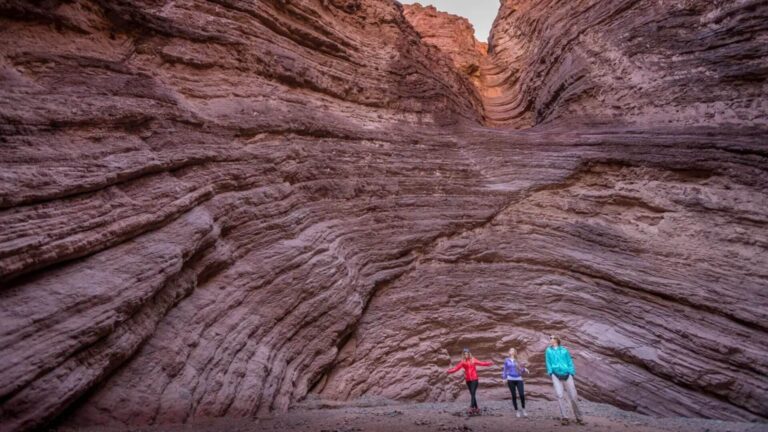 Salta & Cafayate Full Day